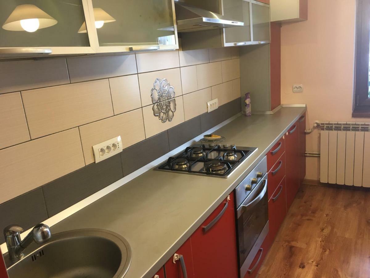 Appartamento Apartament Antonia Tîrgu Ocna Esterno foto
