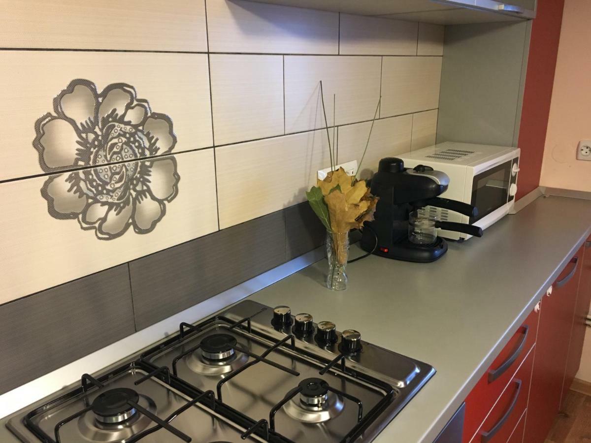 Appartamento Apartament Antonia Tîrgu Ocna Esterno foto